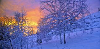 Diese Winterzitate und Winterzeit Sprüche machen Lust auf Schnee