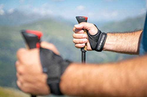 Steinwood Carbon Nordic Walking Stöcke verstellbar