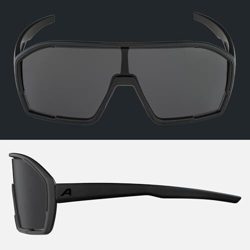 Alpina Bonfire Sportbrille Midnight-Grey Matt