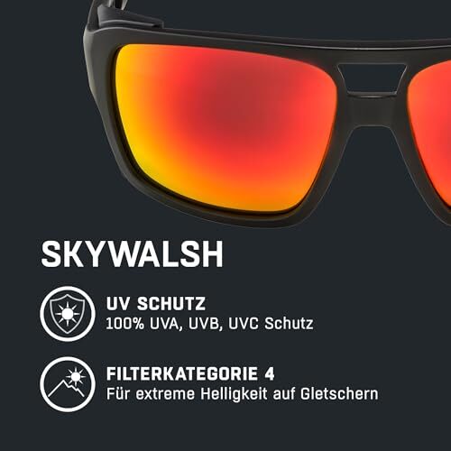 ALPINA Sykwalsh Sportbrille