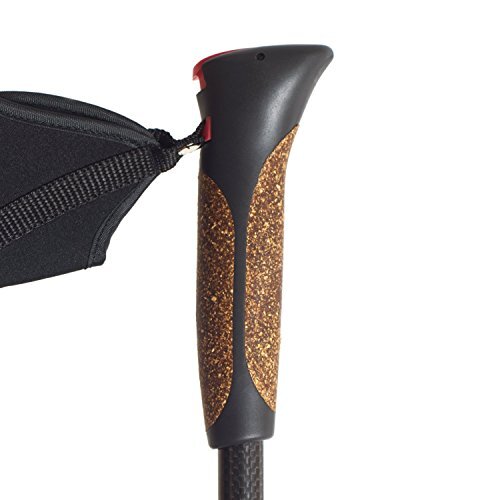 Steinwood Carbon Nordic Walking Stöcke verstellbar