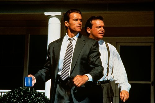 True Lies - Arnold Schwarzenegger Action-Thriller auf DVD