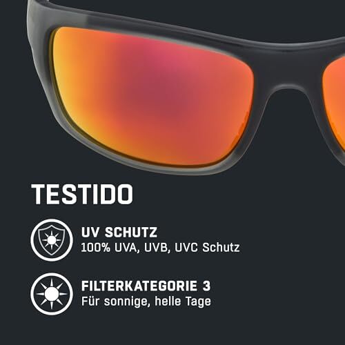 ALPINA TESTIDO Verspiegelte Sport- und Fahrradbrille