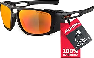 ALPINA Sykwalsh Sportbrille