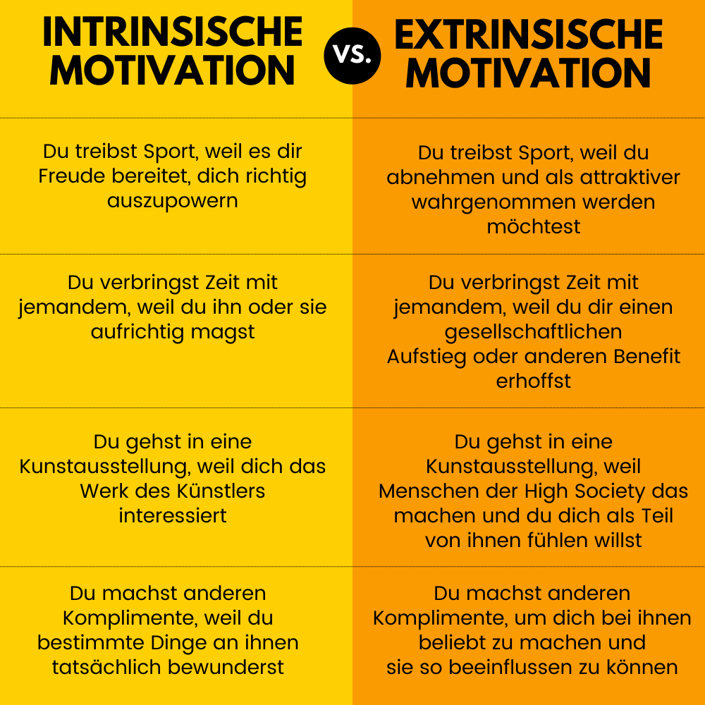intrinsische motivation