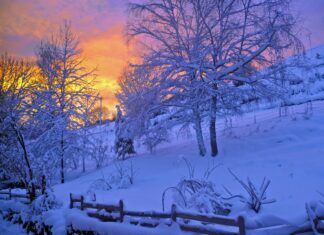 Diese Winterzitate und Winterzeit Sprüche machen Lust auf Schnee