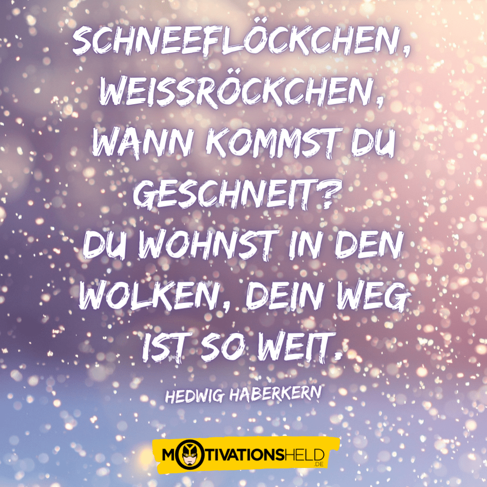 Sprüche zum Schnee