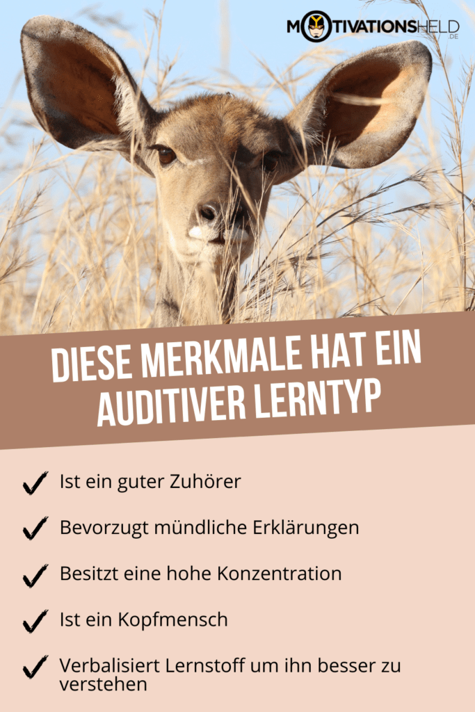 auditiver lerntyp