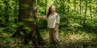 Waldbaden: Die japanische Anti-Stress-Methode für dich Waldbaden: Die japanische Anti-Stress-Methode für dich