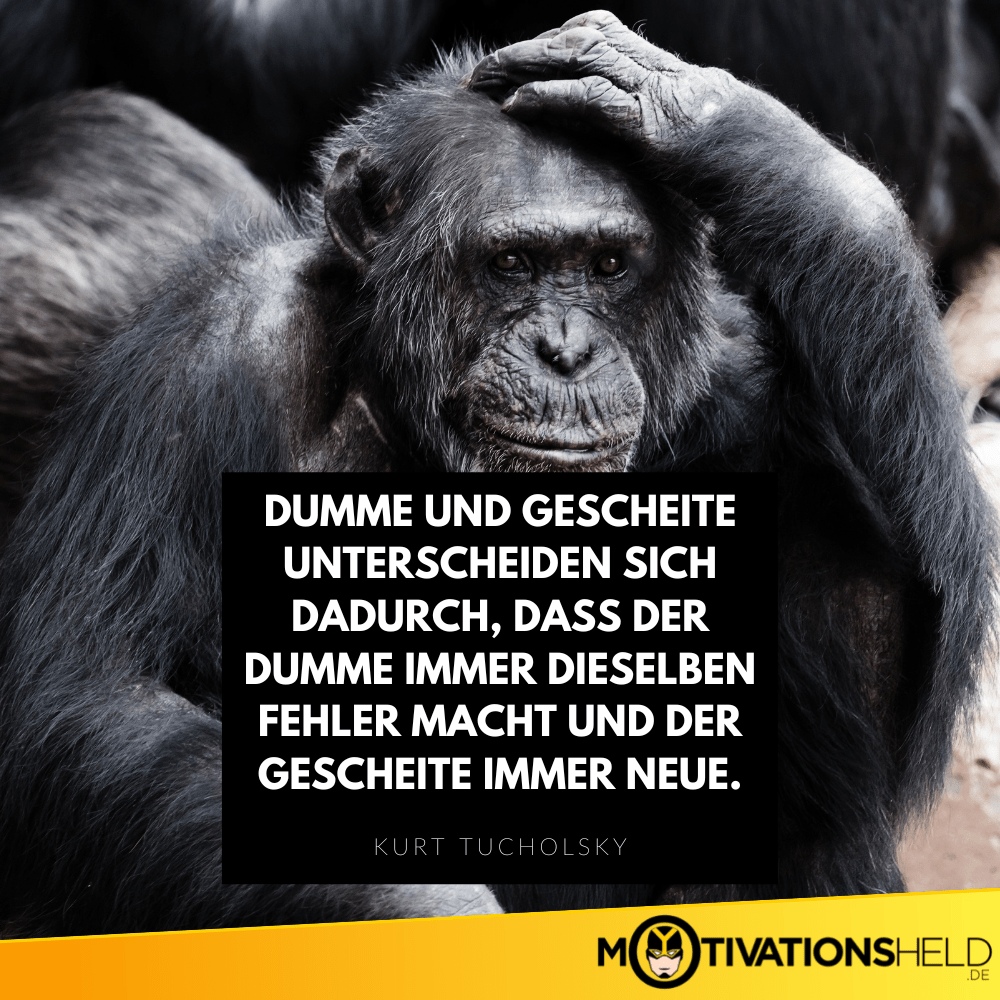 aus fehlern lernen zitat