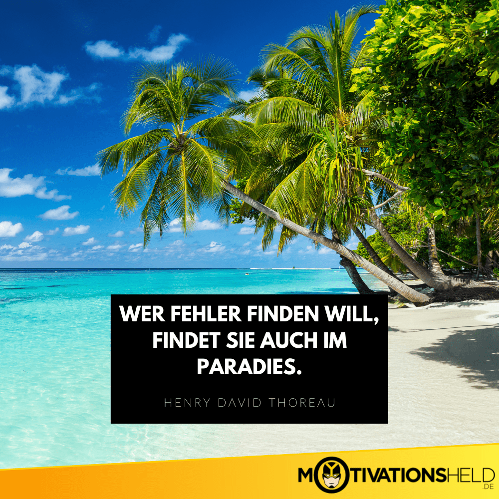 Wer Fehler finden will findet sie auch im Paradies
